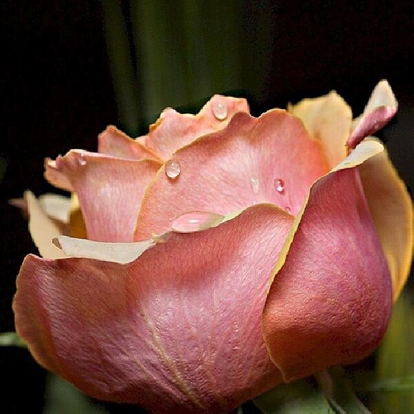 Azooo430 tweet picture