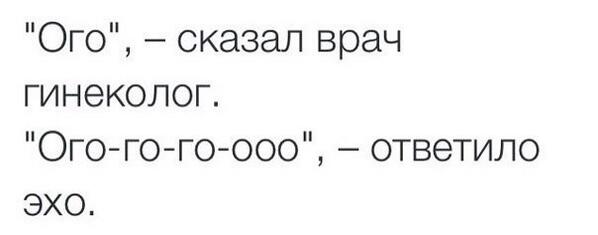 yourlife0603's tweet photo. У эхо своя игра слов http://t.co/gUdj9kolvZ