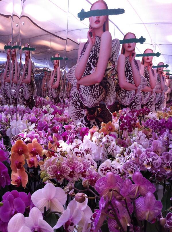 #sion our presentation during the #flowertrials will be surprising! #orchidmirror #stunning made by <a href="/ConFettireclame/">conFetti</a>