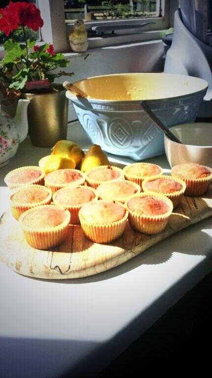 HomeHalos's tweet image. My little Poppy and I have wandered around #Whitstable delivering lemon cakes to our lovely #holidaylets