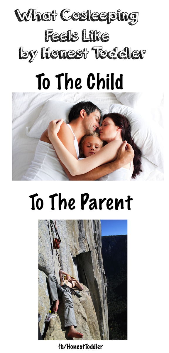 HonestToddler's tweet photo. What cosleeping feels like http://t.co/ij3tJoY6fx