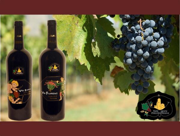 philosophiana.com #vinisiciliani #vitigno #nerodavola #perricone #terroir2014 #vinitaly #winelover #cantina