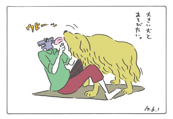 このあいだの 