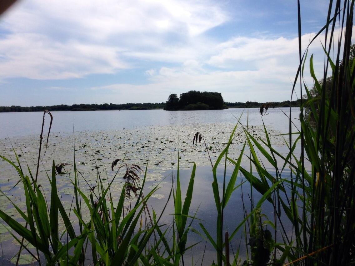 Permalien de l'image intégrée