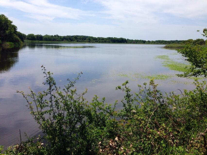 Permalien de l'image intégrée