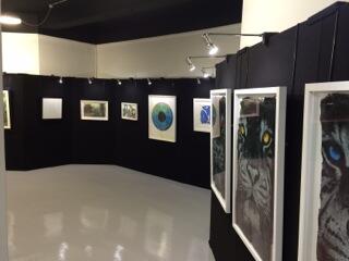 Blackwall Hire - happy to build the art display stand at the Elephant Family's 'In Giants' Footsteps' launch party