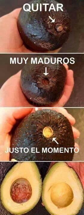 Como saber cuando un aguacate esta maduro?
#LaImagendelDia