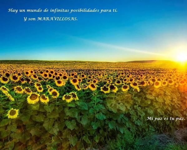 Ralip13's tweet photo. http://t.co/77Yc7ZisoV