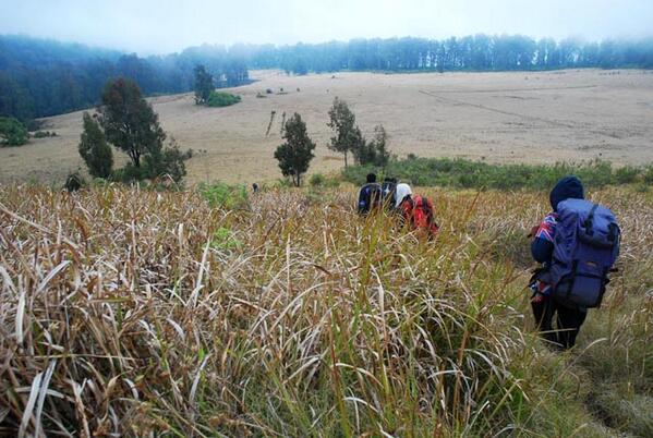 ruliamrullah's tweet photo. menuju Cikasur, Gunung Argopuro. Jawa Timur. #sharepict @infogunung http://t.co/TvOIwyOwhG
