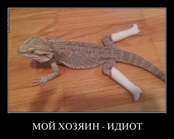 AleksandrGtF's tweet photo. http://t.co/YNL95OjV9O