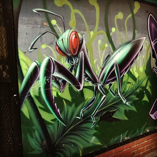 GraffitiFeed's tweet photo. San Francisco StreetArt Pic by @jasonyhhu http://t.co/gLzCkBovpS #SFStreetArt #SF #SanFrancisco #StreetArt http://t.co/gFordzgQvo