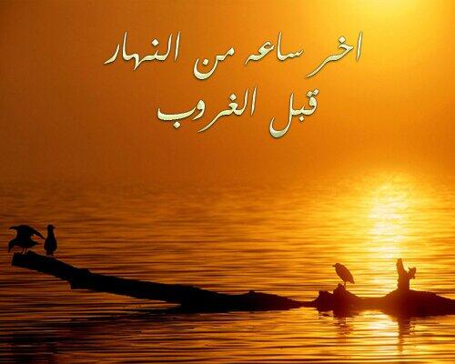 dr_algmas's tweet photo. الساعة الأخيرة من الجمعة (إغتنمها) 
فربما دعوة منك .. كتب لك بها سعادة الدارين 

#يوم_الجمعة 
#ساعة_الجمعة_الأخيرة http://t.co/Hg5zjEdTXo
