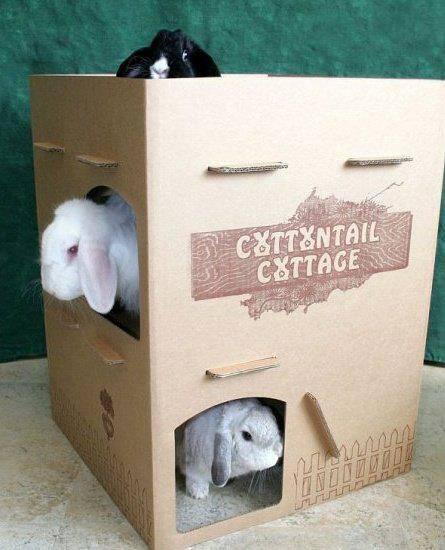 catsrabbitsmore's tweet photo. These bunnies are enjoying their #CottontailCottage. Yours can, too! http://t.co/6gwRetw4xl http://t.co/snSOHsbm3N