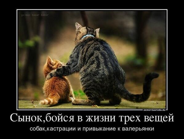 AgrippinafX2's tweet photo. http://t.co/PtGQjFdNON