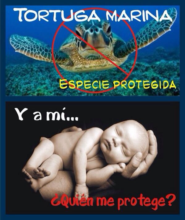 A favor de la vida.... También la humana y sobre todo la humana