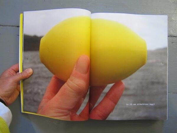 ThePlasticSea's tweet photo. Is it an Albatross egg? PLASTIC SEA looking for sponsors http://t.co/6t09kvVHO4