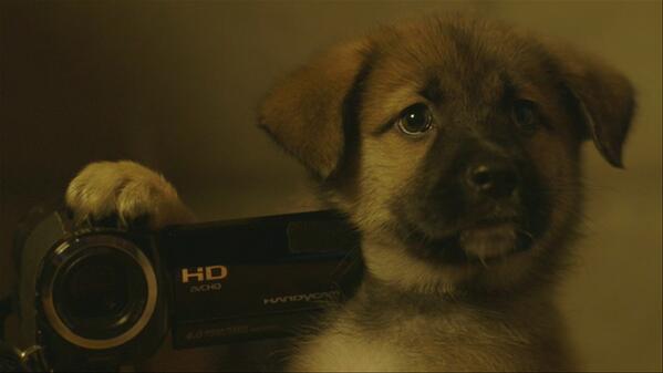 We hired the cutest puppy for #nexttimeonlonny.  If you don't watch it, you probably hate puppies you SOB maker.tv