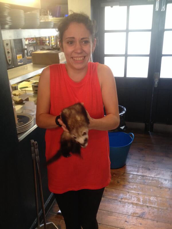 Normal pub tweet alert. 
Anybody missing their ferret, please shout. Please RT