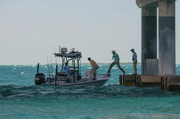 Saltwater Experience (@saltwaterexp) on Twitter photo Going the extra mile to get the shot. <a href="/MercuryMarine/">MercuryMarine</a> <a href="/Power_Pole/">Power-Pole</a> <a href="/QuantumTackle/">Quantum Fishing</a> @YetiCoolers <a href="/YellowfinUSA/">Yellowfin Yachts</a> Going the extra mile to get the shot. <a href="/MercuryMarine/">MercuryMarine</a> <a href="/Power_Pole/">Power-Pole</a> <a href="/QuantumTackle/">Quantum Fishing</a> @YetiCoolers <a href="/YellowfinUSA/">Yellowfin Yachts</a>