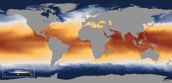 NOAASatellites's tweet photo. NOAA satellites provide #ocean data from space. See weekly Sea Surface Temp data in NOAA View. http://t.co/82qtWVGKnG http://t.co/vEG5wGLm8f