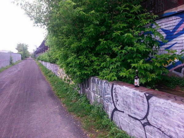 HiddenBeer's tweet image. MONTREAL: Hidden Beer #2 of the day----&amp;gt; in these bushes: