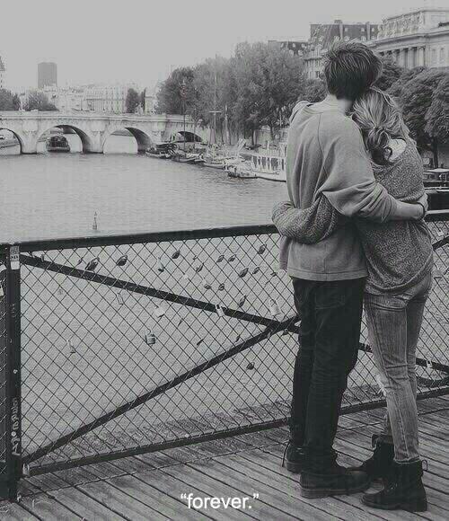 shippeable's tweet image. 