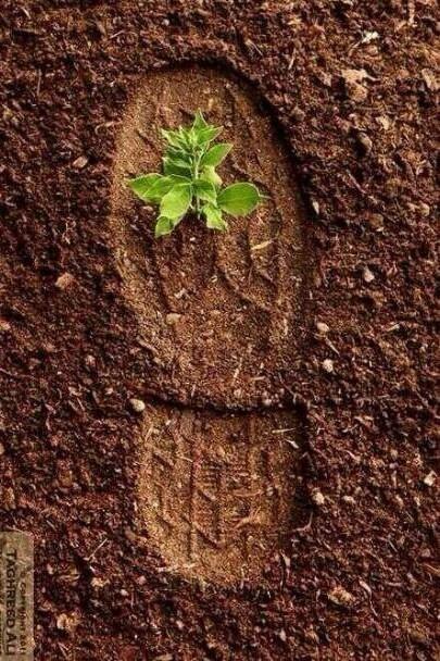 أكون أو لا أكون ..!! tweet media