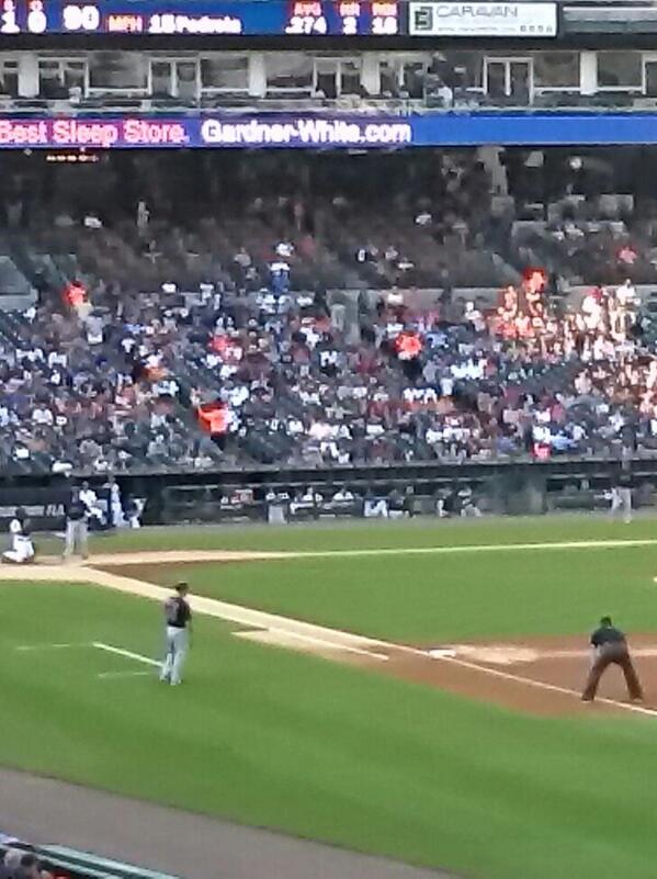 winginit14's tweet image. GO TIGERS!!