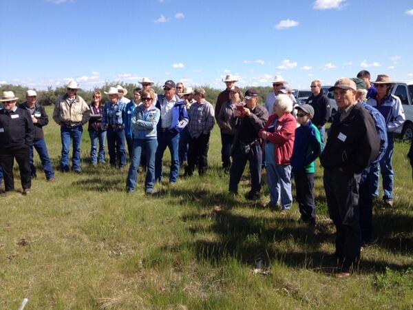 ZBeef's tweet photo. Great day at @UAlbertaRRI Mattheis Research Ranch! @BeefResearch excellent research interesting results http://t.co/E4sXFUFcnJ