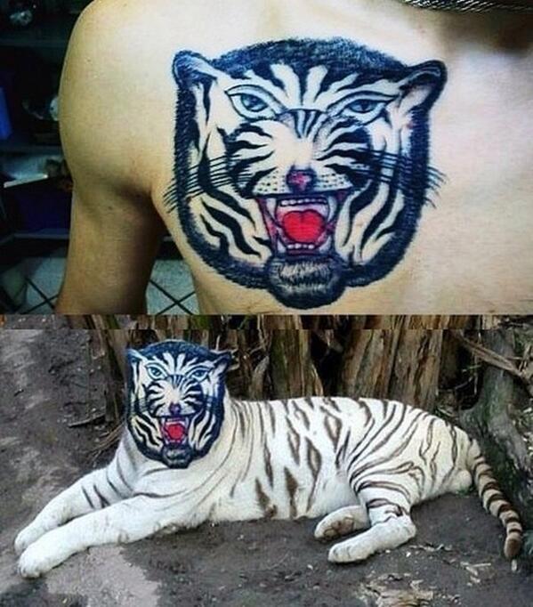 Shattoos tweet media