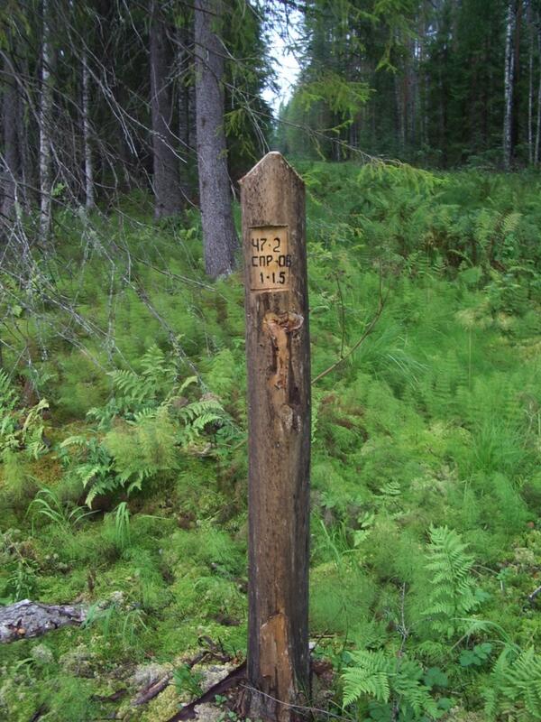 forestryclouden's tweet image. How can you find forest areas in Russia for harvesting timber? - goo.gl/k7Uels