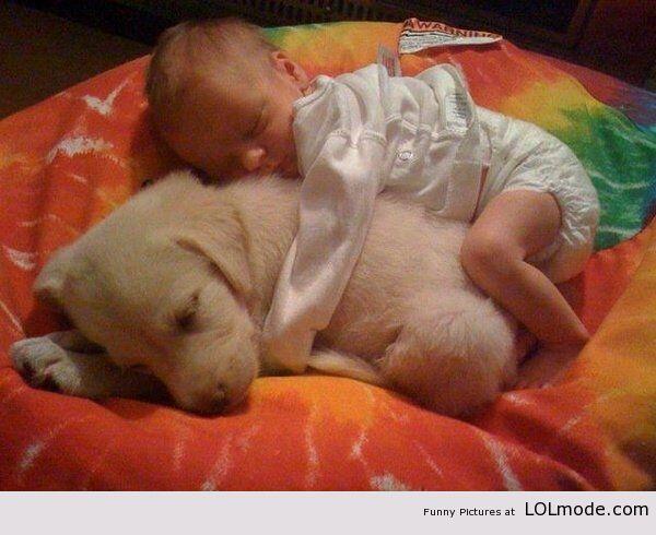 #RTalsjehetziet Is dit cute of niet?!
