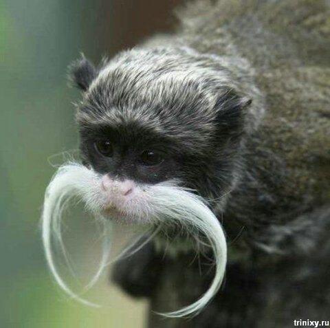 aleherdel's tweet photo. @MariaGamezN @NurryPally si yo no quiero decir nada, pero se hizo una foto el otro día y mira... http://t.co/PZt5CMMEqf