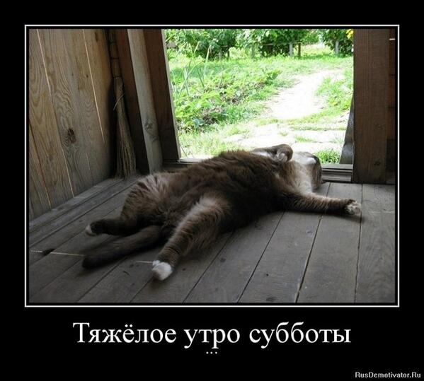 PetrMb5iN's tweet photo. http://t.co/Y638A41Zfw