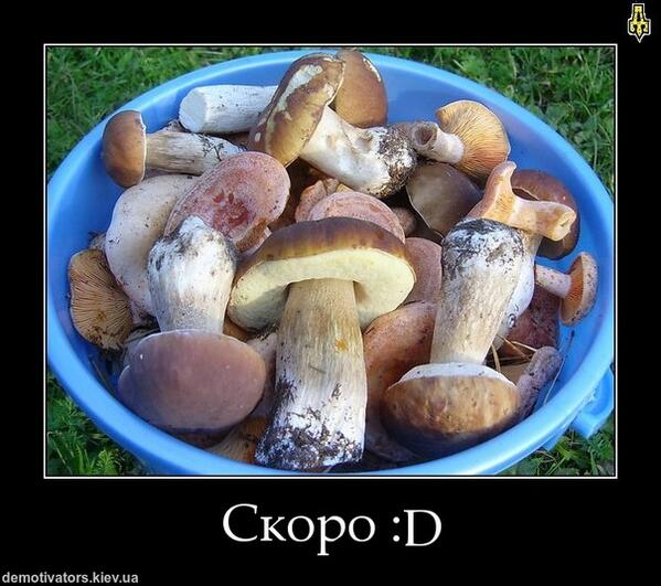 FilipplGSlQ's tweet photo. http://t.co/P5WOhEKjSC