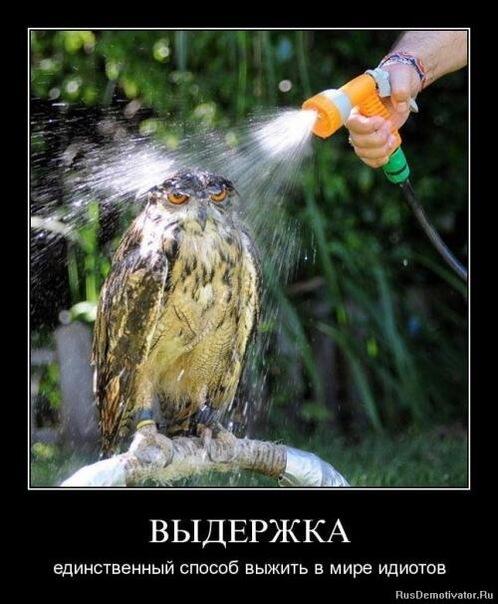 ValeriyalsBMS's tweet photo. http://t.co/IDS6eltV5h