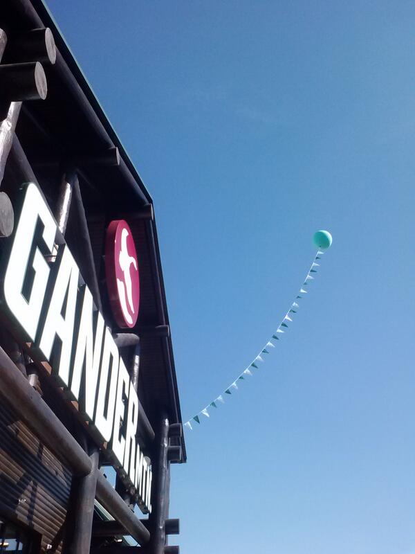 Tony Gunter tweet media