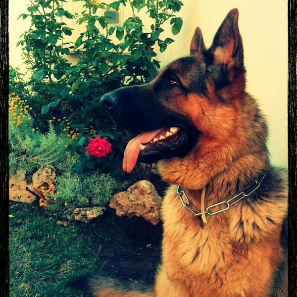 pepagazquez's tweet photo. Mi madre lo más de lo más !! http://t.co/ZD7EeRUzid