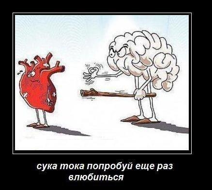EduardyHeaS's tweet photo. http://t.co/FaB9v1frGq