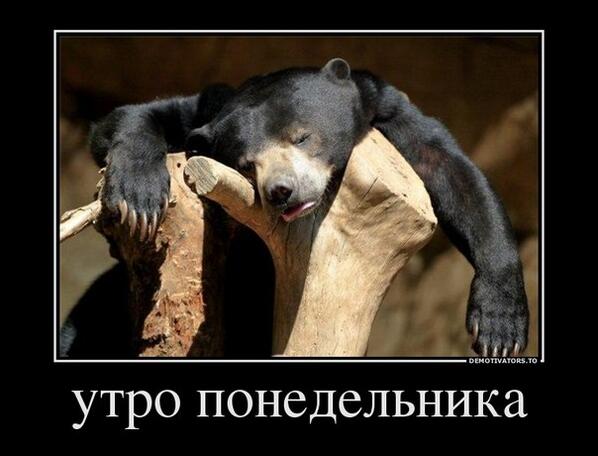 TimurFiPa's tweet photo. http://t.co/p2kmeTBYSe