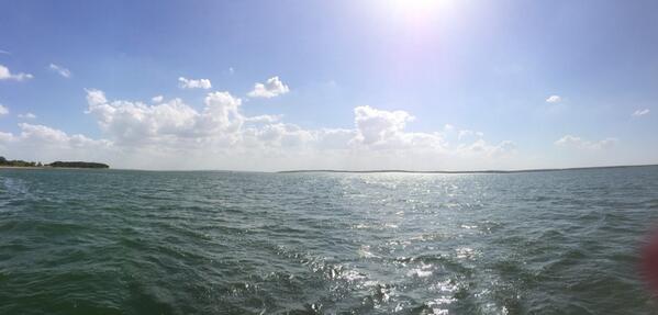 Turtle_Duckies's tweet image. 🌞
#lake #rayroberts