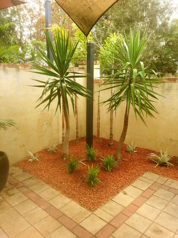IOLandscapes's tweet image. Quick little courtyard freshen up! #perth