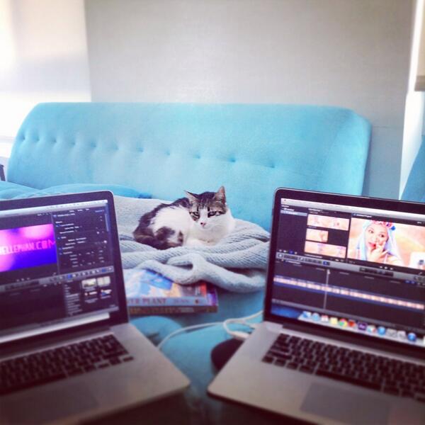 MichellePhan's tweet photo. ...my boss checking in to make sure I'm not slacking off... 😼 #bosslady #catlover #editing #timetohustle http://t.co/Lq9xzEqQrh