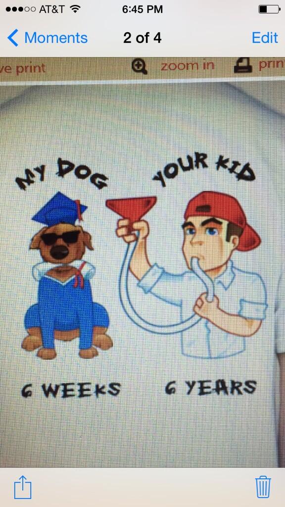 22Paws tweet picture