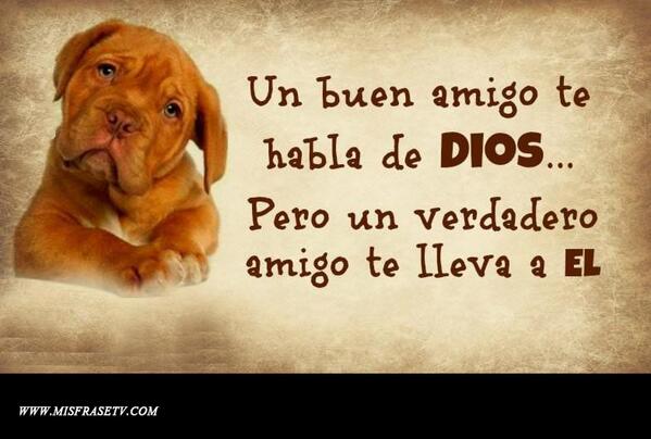 cami92123047's tweet photo. QUE LINDO!!! http://t.co/FlTvpuVtsd