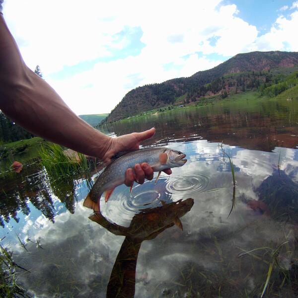 JeffKerkove's tweet photo. Hey there buddy! It has been a while since we last "hooked" up. #sylvanlake #flyfish #epiccamera #brookie http://t.co/fo4K5AUweh