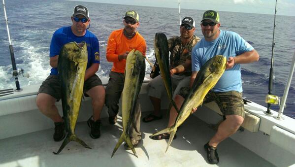 PBOTV's tweet photo. Big Mahi all day, way offshore. #keywest #mahi http://t.co/3kX4Mbne03