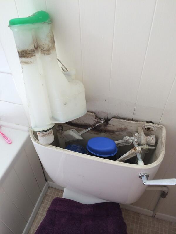 pro_plumb's tweet photo. Get them little plumbing jobs done today call us on 07970758516 #brightonplumber #smallplumbingjobs http://t.co/hyesk8zaBG