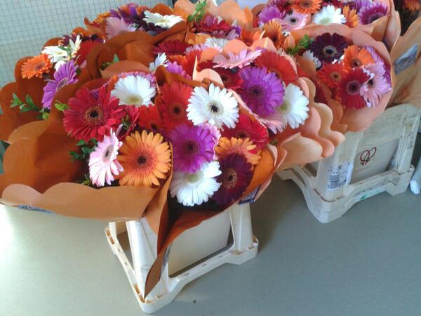 We hebben bloemen gekregen van 1 kweker uit de #buitenvaart voor de #dierverzorgers en #vrijwilligers. Bedankt.