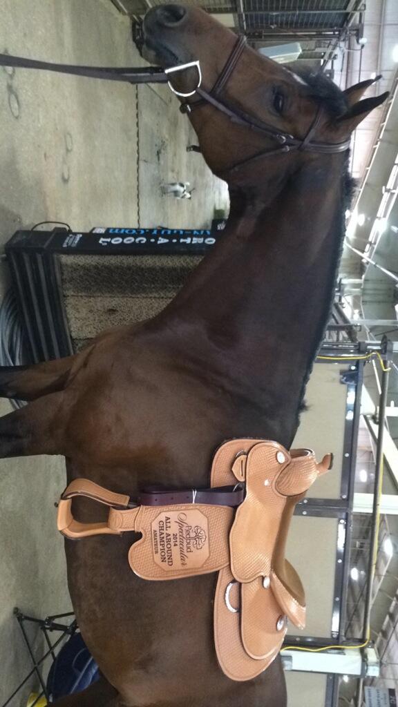 My Murray is a bad ass so proud of him this week he was a rock star